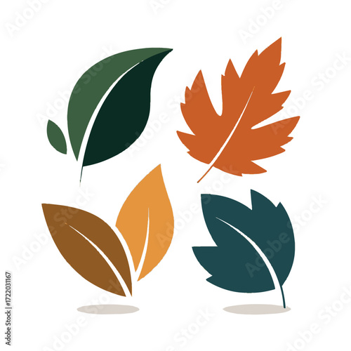 Four stylized autumn leaves displaying seasonal color changes and natural forms