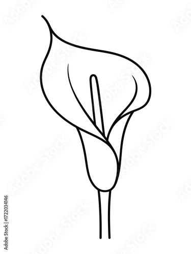 Elegant black and white outline drawing of a calla lily flower