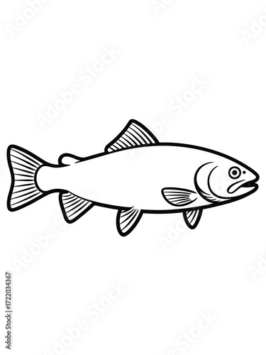 Outline illustration of a single salmon or trout fish