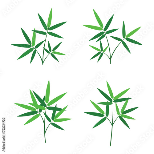 Four delicate sprigs of green bamboo leaves with thin stems natural foliage organic plant elements