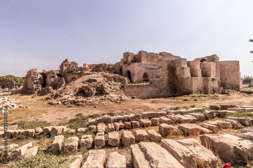 Obraz premium View of ancient Harran Castle, Turkey
