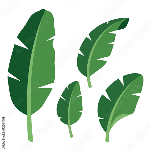 Collection of lush green banana leaves tropical plant elements fresh nature botanical art
