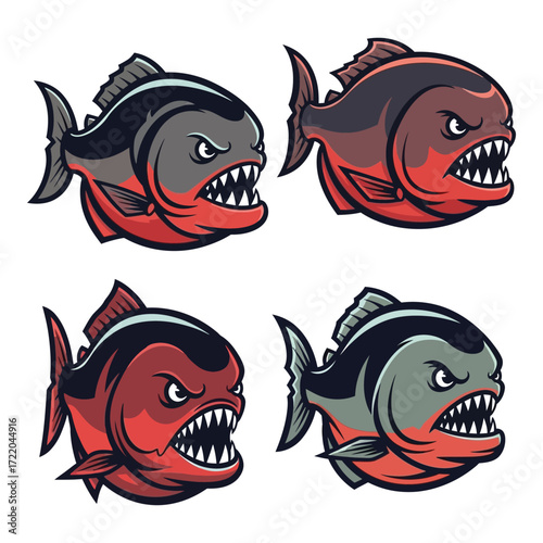 Four aggressive piranha fish images with sharp teeth ready to bite and attack fiercely