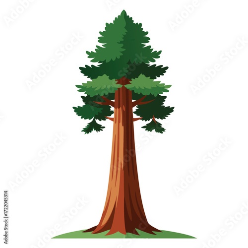 Tall Sequoia Tree Graphic Vector Clipart