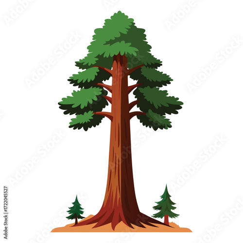 Giant Sequoia Tree Illustration on White Background