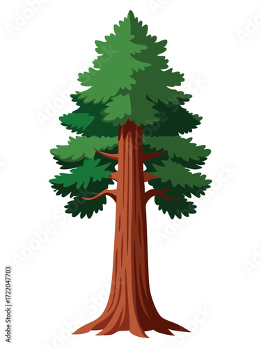 Giant Sequoia Tree Illustration on White Background