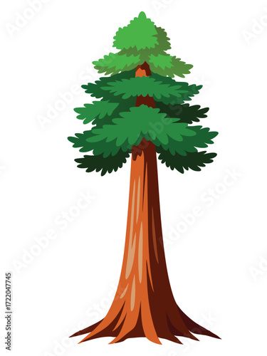 Giant Sequoia Tree Illustration on White Background