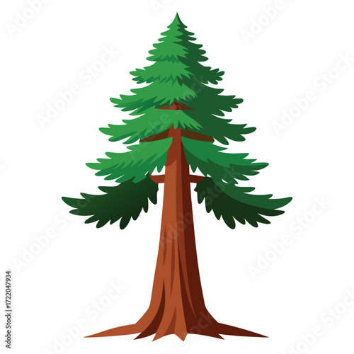 Tall Sequoia Tree Graphic Vector Clipart