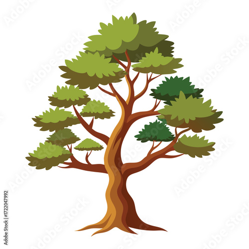 oak tree isolated on white