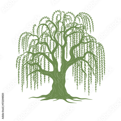 Minimalist weeping willow tree illustration in sage green with cascading branches, visible roots, and modern graphic style on white background