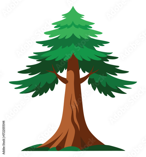 Detailed Redwood Tree Illustration on White Background