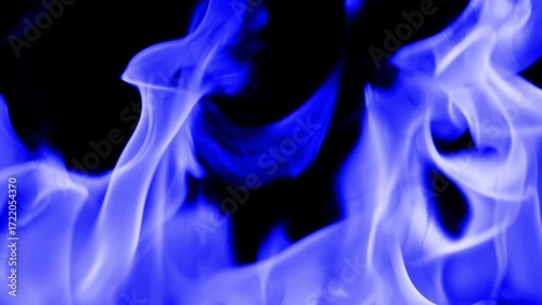 Gas burns with a bright blue flame. Beautiful dancing fire, Lots of fire. Blue fire is burning. Bright blue flames. A wall of real fire, abstract background. Super-slow motion video