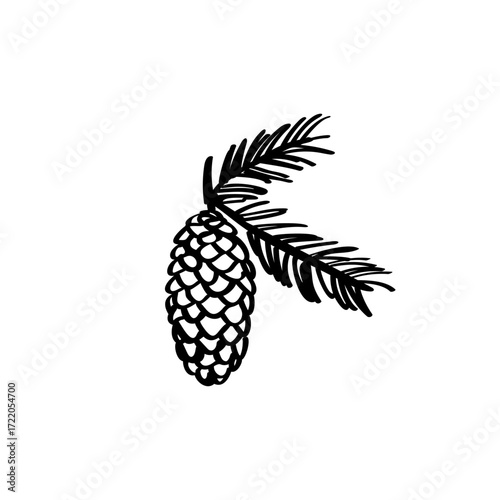 Pine branch hand drawn illustration. Cone vector sketch