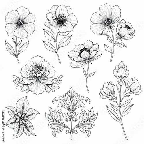 Elegant Floral Sketches for Invitations and Designs, Hand-Drawn Botanical Illustration, Perfect for Wedding and Spring-Themed Projects, originally vector graphics
