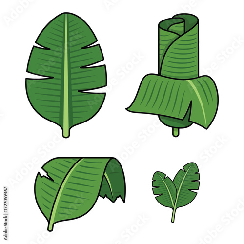 Four artistic depictions of lush green banana leaves in various natural shapes and forms