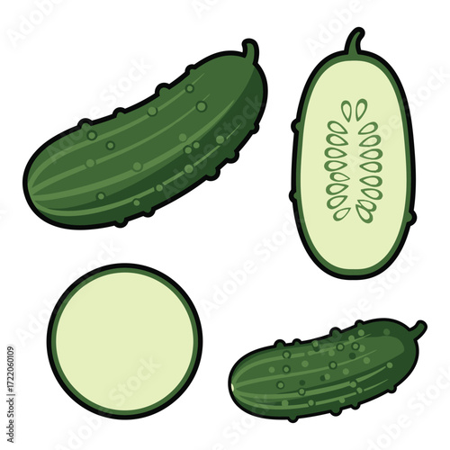 Fresh green cucumbers whole sliced and round cut showing seeds and texture healthy food ingredient