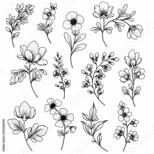 Elegant floral sketches for graceful designs and artistic projects, bringing a touch of nature's beauty to your creative endeavors with delicate charm