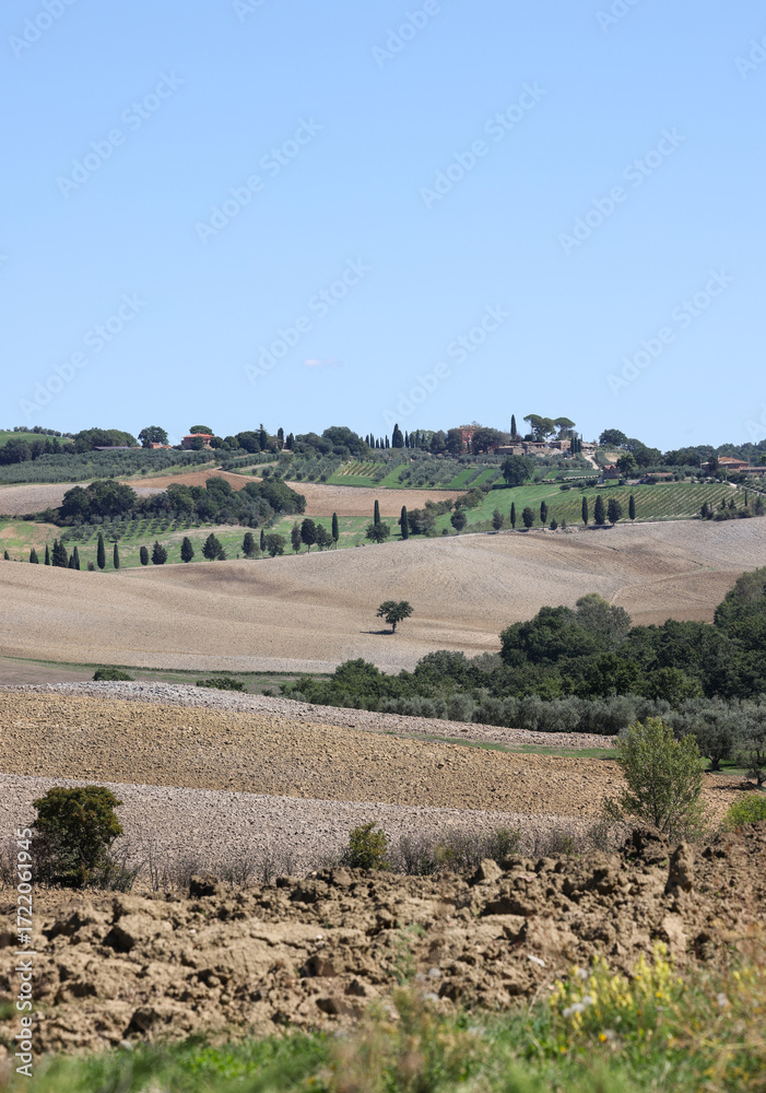 Fototapeta premium The rural landscape near Pienza in Tuscany. Italy
