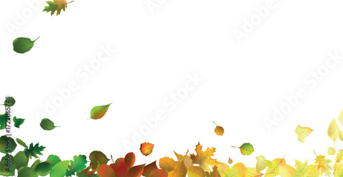 Realistic autumn leaves on a light background - Vector illustration
