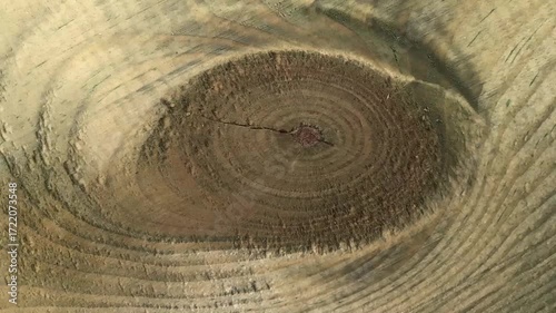 abstract wood texture resembling an eye
