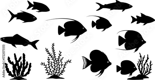 sea animals, fish, algae set silhouette ,on white background, vector
