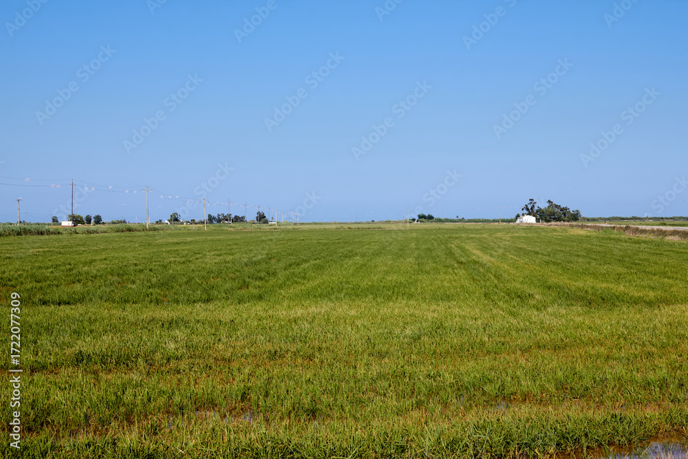 Fototapeta premium Campo agrícola extenso con cielo despejado y edificaciones rurales en el horizonte