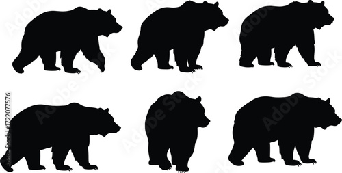 Black bear silhouettes standing and walking in different poses isolated on white background, wild forest animal vector illustration, predator artwork design
