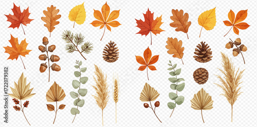 Watercolor illustration of various autumn leaves, pine cones, acorns, and pampas grass arranged on a transparent background.