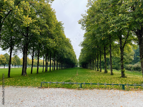 Symmetrical tree lined Schleissheim Palace avenue in a German park with green lawn and autumn leaves