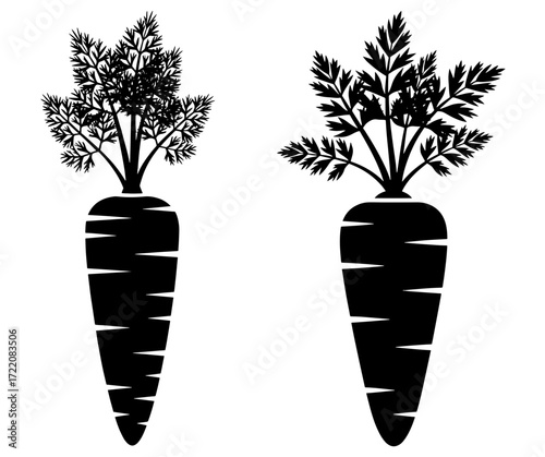 Vector art of two carrot silhouettes, one with a pointed end and the other with a blunt end
