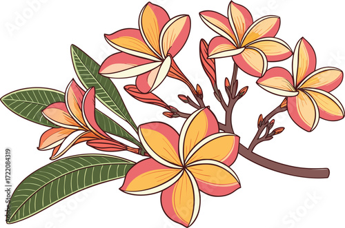 Vibrant tropical plumeria flowers in orange and yellow vector illustration scalable eps