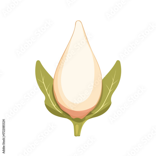Icon clipart, Minimalistic 2D flat icon featuring a whole radish isolated on a white background, an element in vector and EPS format. clean vector design, simple illustration style