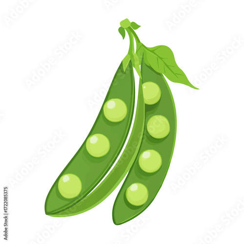 Icon clipart, Minimalistic 2D flat icon featuring a whole pea pod isolated on a white background, an element in vector and EPS format. clean vector design, simple illustration style