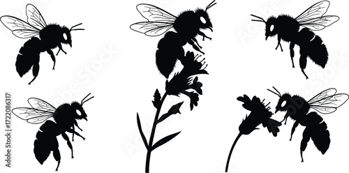Set of honey bee insect silhouettes with wings and flowers, flying pollinator vector illustration isolated on white background for design