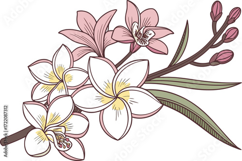 Realistic vector bouquet plumeria orchid flowers scalable eps illustration
