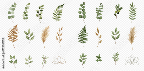 Watercolor illustration featuring an assortment of botanical elements including leaves, ferns, branches, pampas grass, and a lotus flower.