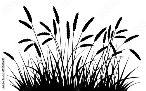 Black Silhouette Vector Illustration of Prairie Grass with Tall Blades and Feathery Plumes, Wild Meadow Plant Design for Nature, Rural Landscape, or Outdoor Background Themes