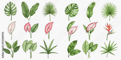 Watercolor illustration featuring a variety of tropical leaves and flowers, including monstera, banana leaves, palm fronds, anthurium, and bird of paradise.