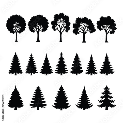 Diverse collection of silhouette trees natural forest woodland ambiance outdoor elements