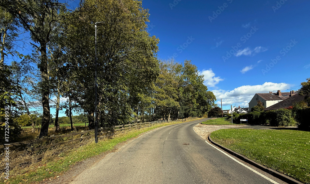 Fototapeta premium A winding country lane leads through a serene landscape bordered by trees and a few houses. The sky is clear and vibrant, enhancing the peaceful atmosphere on Thorpe Lane in, Guiseley, Leeds, UK