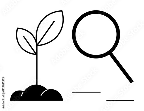 Young plant sprouting from soil next to a magnifying glass symbolizing analysis, growth, sustainability, environmental care. Ideal for science, ecology, discovery, innovation, research education