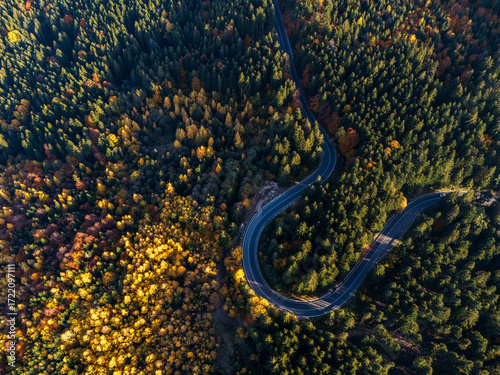 Aerial view of a road with autumn leaves changing