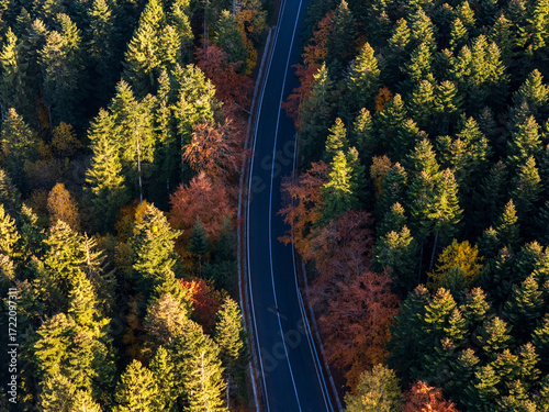 Aerial view of a road with autumn leaves changing
