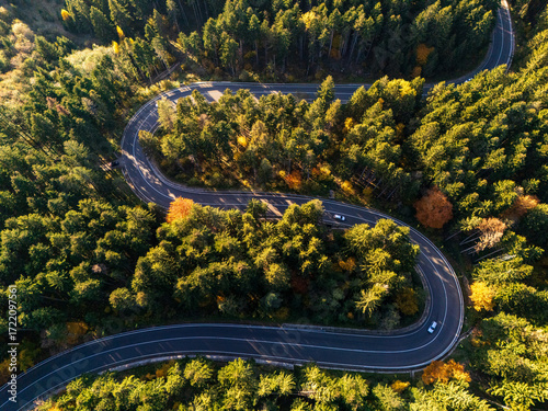 Aerial view of a road with autumn leaves changing