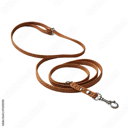 Leather dog leash, studio shot, brown, coiled, pet supplies