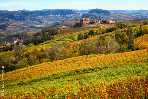 Beautiful autumnal hills near Barolo, Italy.