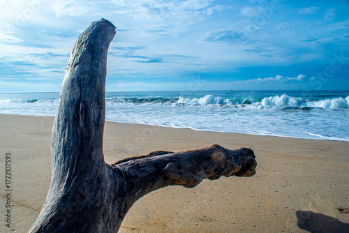 Paisaje. Playa azul.