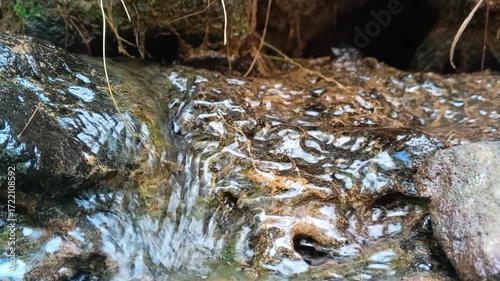 Serene Stream Flowing Over Rocks