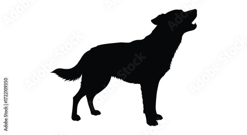 A striking silhouette of a dog howling at the moon or sky
