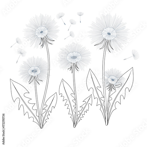Whimsical dandelion seeds float on a gentle breeze across a minimalist white background.